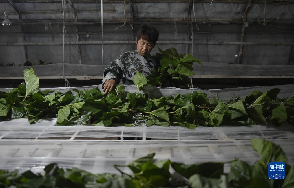 现金网打水风控
